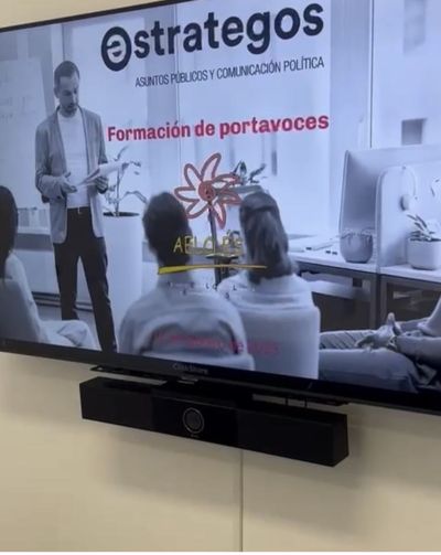 Formaci&oacute;n de Portavoces