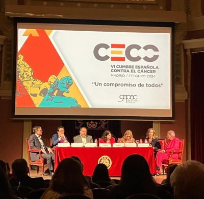 VI Cumbre Espa&ntilde;ola Contra el C&aacute;ncer